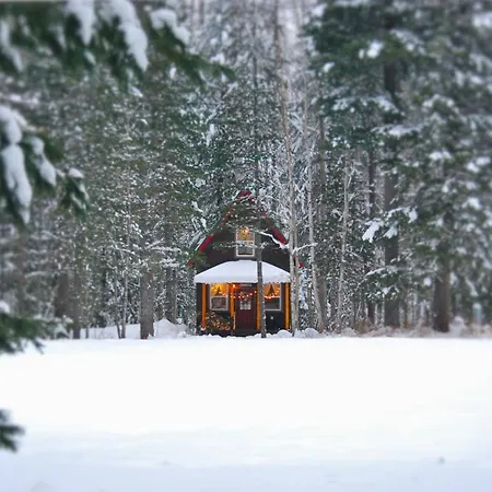 Kataluma Inn, Sandpoint, Idaho - Entire Cozy Cabin, Pet Friendly Exterior photo