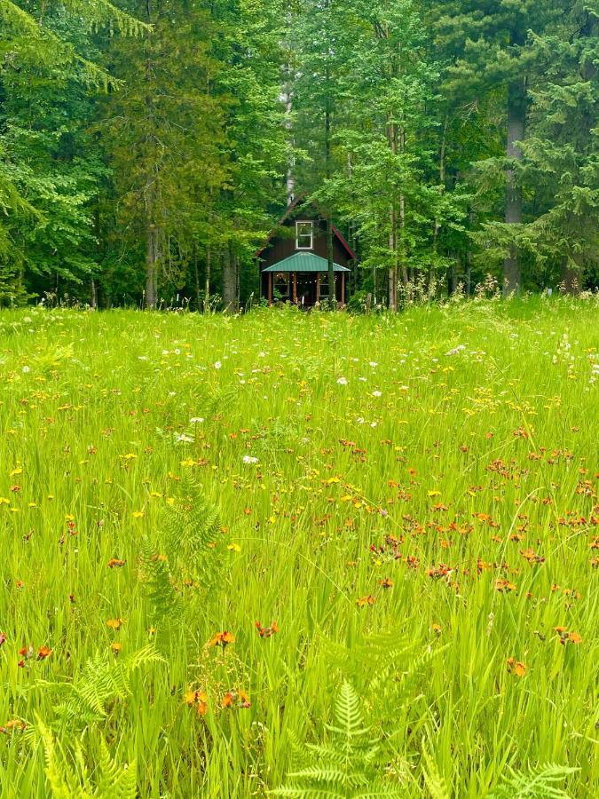 Kataluma Inn, Sandpoint, Idaho - Entire Cozy Cabin, Pet Friendly Sandpoint